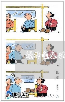 绿海龟养殖违法嘛