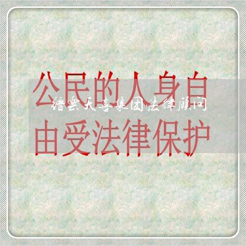 缙云天喜集团法律顾问