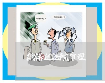 缤诺丝法院审理