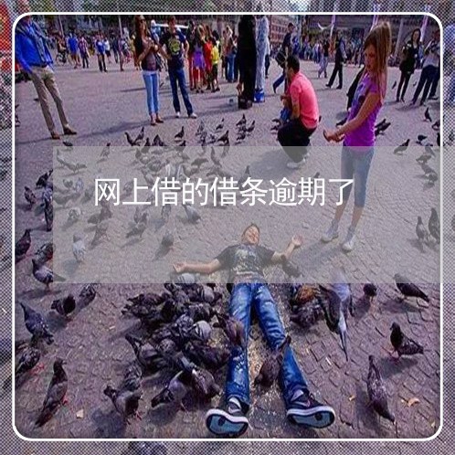 网上借的借条逾期了