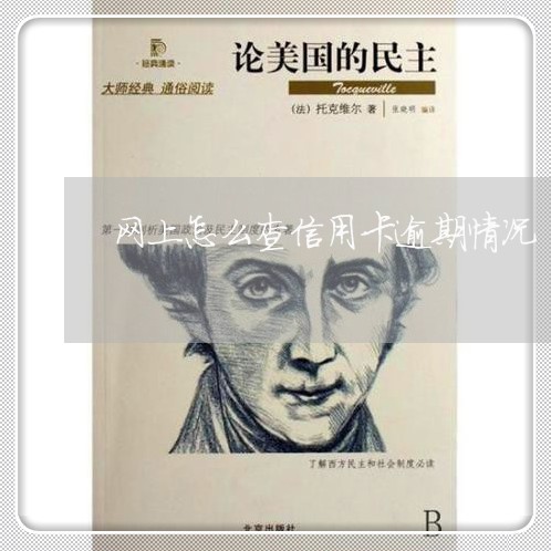 网上怎么查信用卡逾期情况