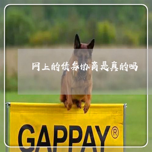 网上的债务协商是真的吗/2023022883703