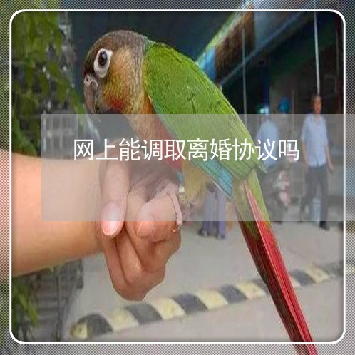 网上能调取离婚协议吗 网上能调取离婚协议吗