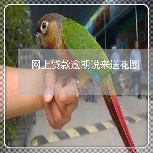 网上贷款逾期说来送花圈