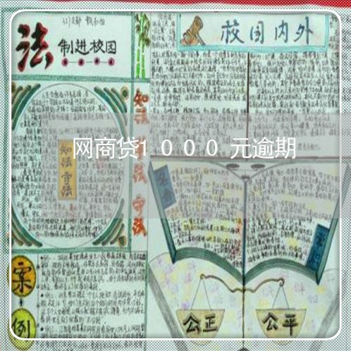 网商贷1000元逾期/2023012861707