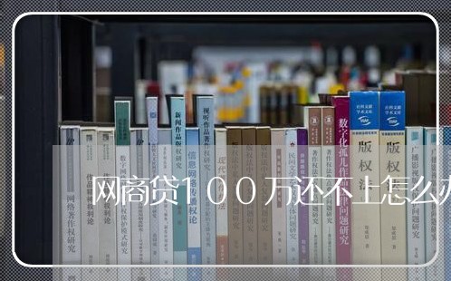 网商贷100万还不上怎么办/2023100893069