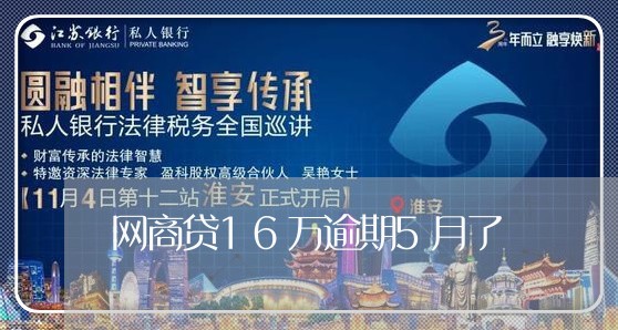 网商贷16万逾期5月了/2023020546358