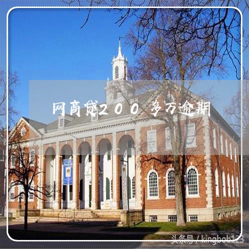网商贷200多万逾期/2023030105958 网商贷200多万逾期/2023030105958