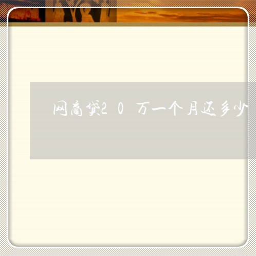 网商贷20万一个月还多少/2023020920984