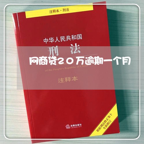 网商贷20万逾期一个月/2023013085928