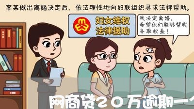 网商贷20万逾期一个月/2023061991834