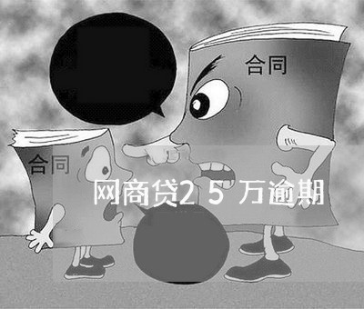 网商贷25万逾期/2023030128472