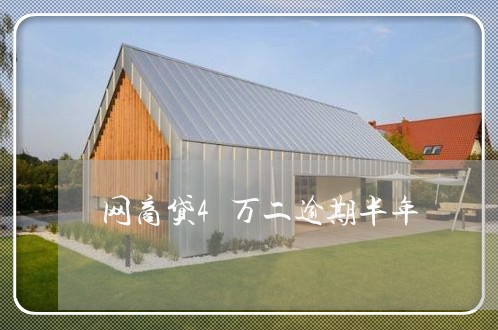 网商贷4万二逾期半年/2023030116068
