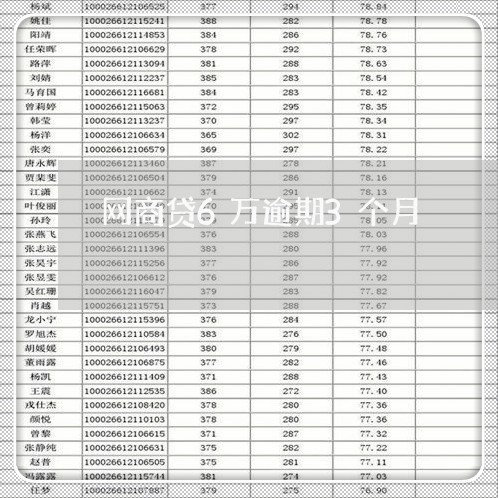 网商贷6万逾期3个月/2023013004935