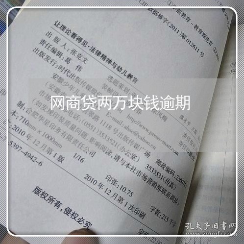 网商贷两万块钱逾期/2023030194037