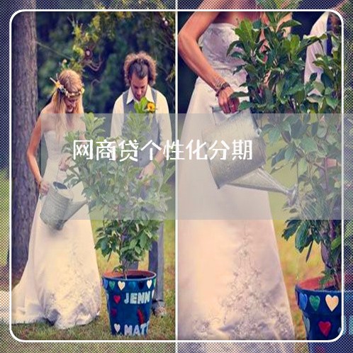网商贷个性化分期/2023030152504 网商贷个性化分期/2023030152504