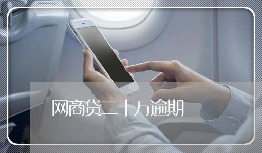 网商贷二十万逾期/2023030182495 网商贷二十万逾期/2023030182495