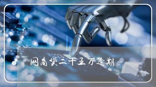 网商贷二十五万逾期/2023030149683 网商贷二十五万逾期/2023030149683
