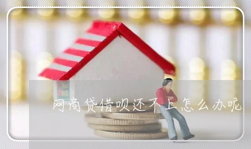 网商贷借呗还不上怎么办呢/2023030147470 网商贷借呗还不上怎么办呢/2023030147470