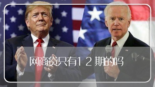 网商贷只有12期的吗/2023120904038