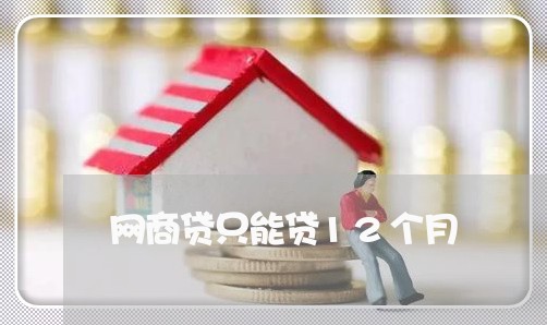 网商贷只能贷12个月/2023013002817