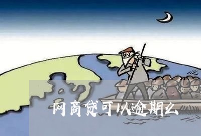 网商贷可以逾期么/2023012763925