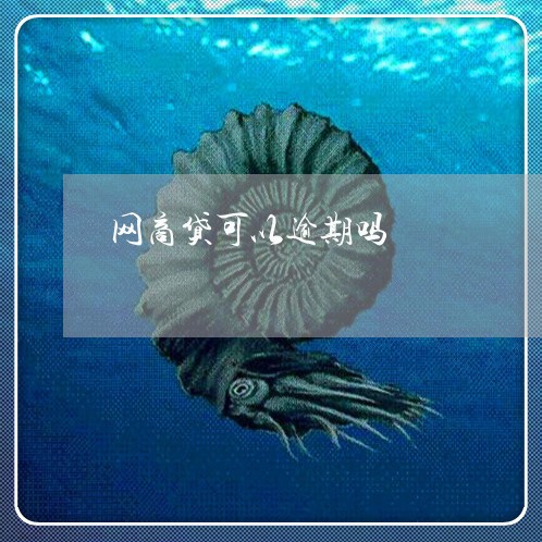 网商贷可以逾期吗/2023022862726
