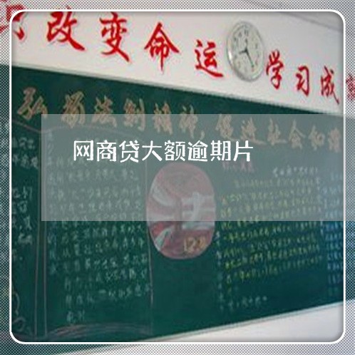网商贷大额逾期片/2023030101645
