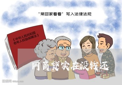 网商贷实在没钱还/2023112660582