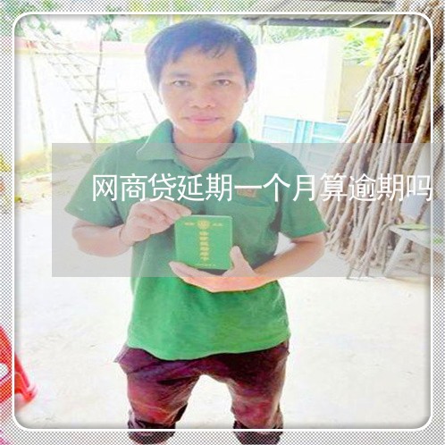 网商贷延期一个月算逾期吗/2023022823827 网商贷延期一个月算逾期吗/2023022823827