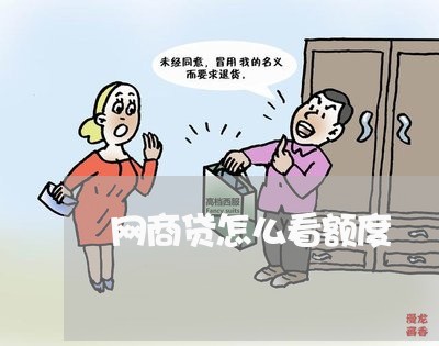 网商贷怎么看额度/2023092894250