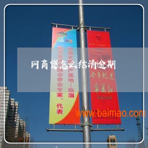 网商贷怎么结清逾期/2023030117148