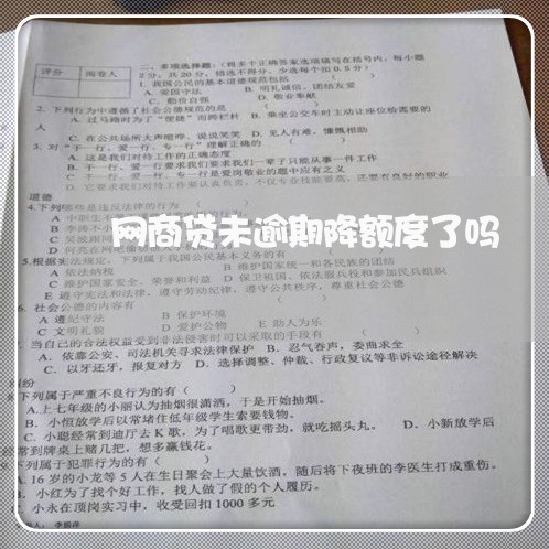 网商贷未逾期降额度了吗/2023022848582 网商贷未逾期降额度了吗/2023022848582