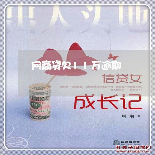 网商贷欠11万逾期/2023030132917