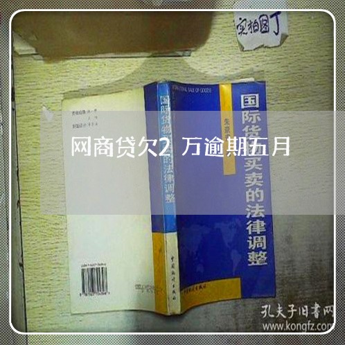 网商贷欠2万逾期五月/2023013041726