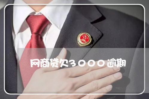 网商贷欠3000逾期/2023061756361