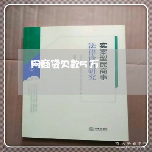 网商贷欠款5万/2023012915038