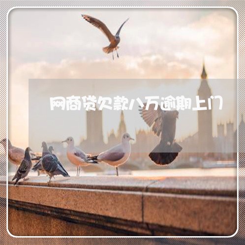 网商贷欠款八万逾期上门/2023030114158