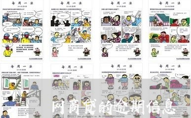 网商贷的逾期信息/2023061960614