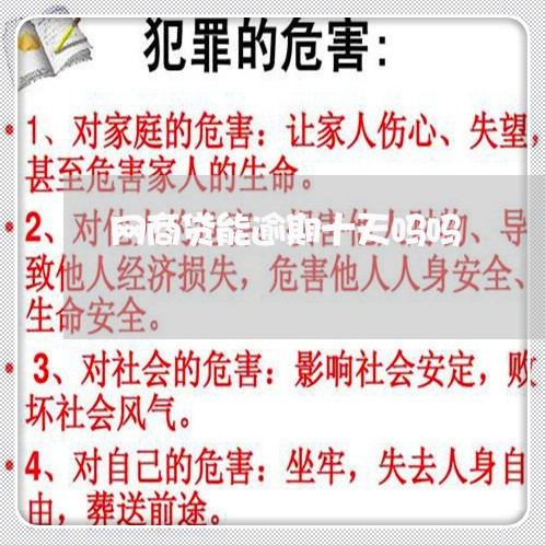 网商贷能逾期十天吗吗/2023022875935