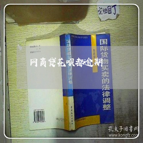 网商贷花呗都逾期/2023030149515 网商贷花呗都逾期/2023030149515
