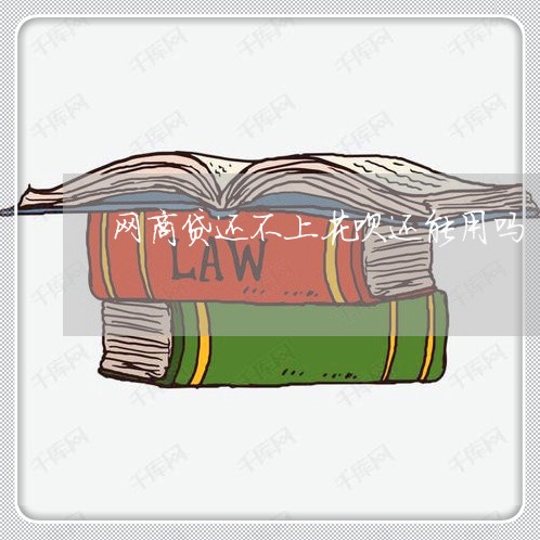 网商贷还不上花呗还能用吗/2023022845939 网商贷还不上花呗还能用吗/2023022845939