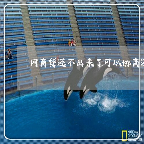 网商贷还不出来了可以协商还么/2023030158693 网商贷还不出来了可以协商还么/2023030158693