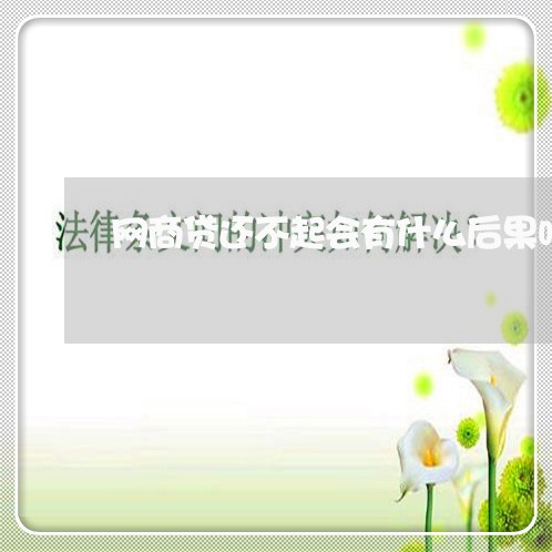 网商贷还不起会有什么后果吗/2023022805038 网商贷还不起会有什么后果吗/2023022805038