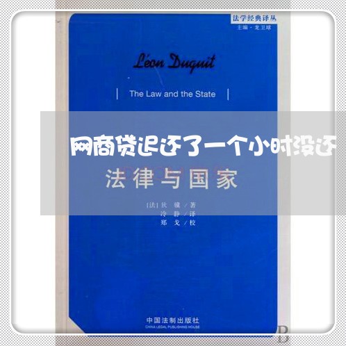 网商贷迟还了一个小时没还/2023012147471