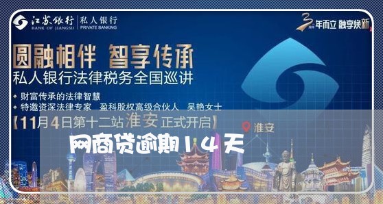 网商贷逾期14天/2023012940615