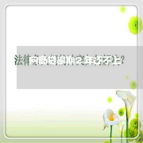 网商贷逾期2年还不上/2023030250592