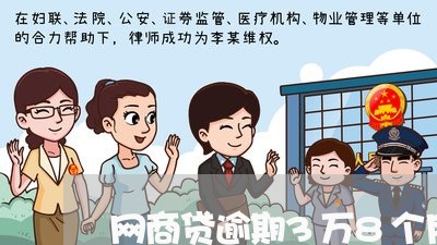 网商贷逾期3万8个月