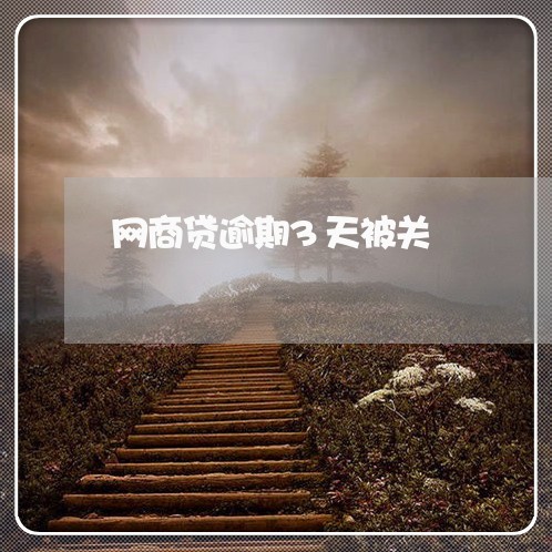 网商贷逾期3天被关/2023012045059