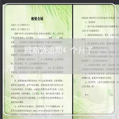 网商贷逾期4个月了/2023061500693